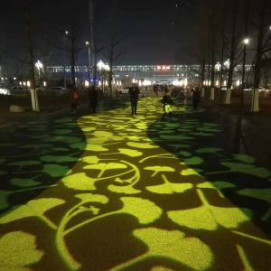 崇州體育公園 ---公園亮化投影